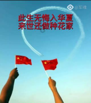 小猫钓鱼正版下载中文版